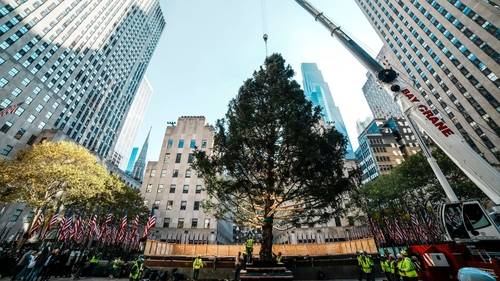 Rockefeller Tree lighting 2025: Midtown Christmas tree to be lit for holiday season