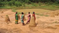 Centre ‘reworking and refining’ procedures to resume MGNREGA scheme in West Bengal