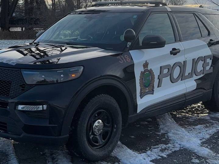 Human remains found in summer identified by Niagara cops