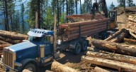 Idaho partners with US Forest Service with goal to double timber sales