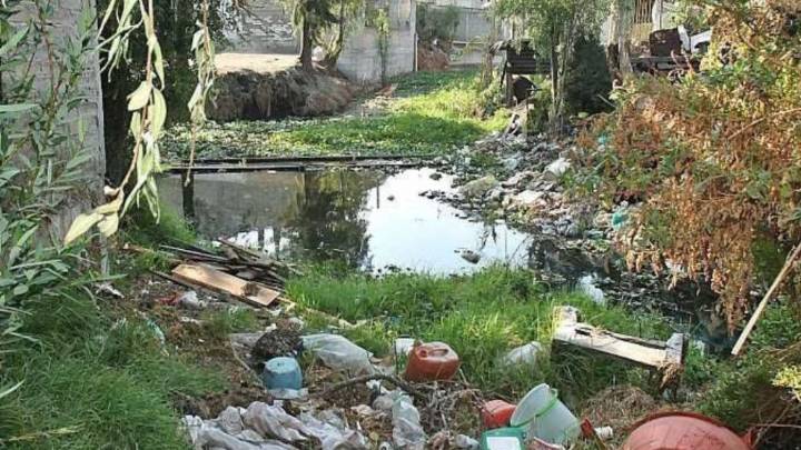 En Xochimilco, no cubren limpieza en canales ni 50%