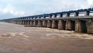 High-Level Committee Formed To Resolve Mahanadi Water Dispute
