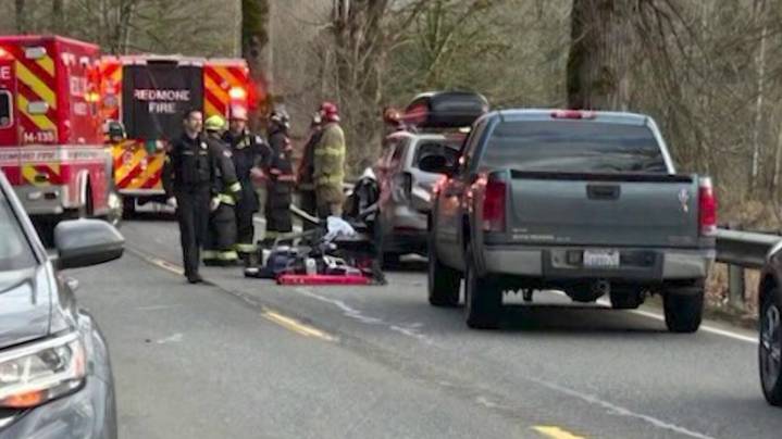 Falling tree kills woman on SR 203 ahead of atmospheric river