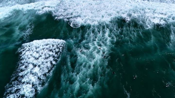 Contra el apocalipsis: 10 buenas noticias del medio ambiente este 2025