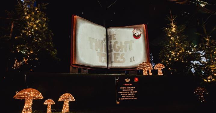 My 11-year-old turned around to me and said 'dad, you've been scammed'