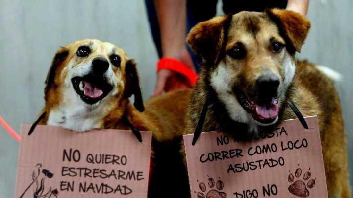 Navidad con luz, unión y respeto por la vida, no a la pólvora, Corporinoquia