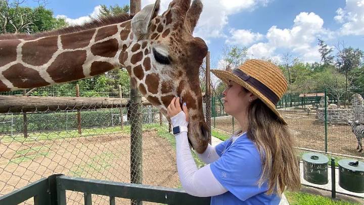 Zoológico de Irapuato abrirá en días festivos