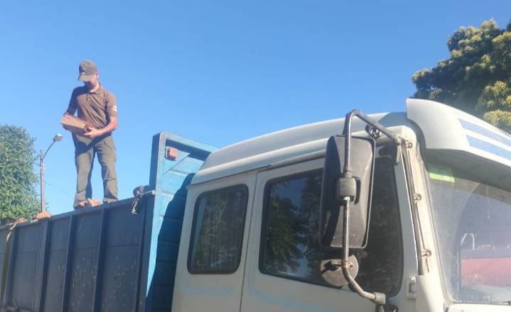 Hombre fue sorprendido con leña de especies nativas en Ñuble.