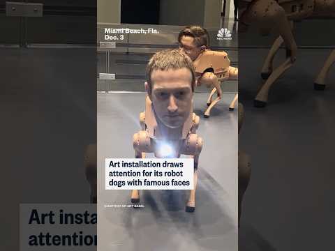 Art installation draws attention for its robot dogs with famous faces