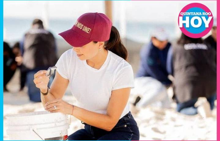 Benito Juárez cierra con éxito la temporada 2025 de conservación de tortugas marinas