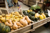 Partnership brings fresh local produce to the hungry