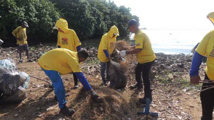 ¡Celebración con causa! El IMA festeja su aniversario embelleciendo Playa Macuto.