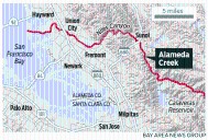 Salmon returning to Bay Area creek for first time in 70 years could be sign of environmental renewal to come