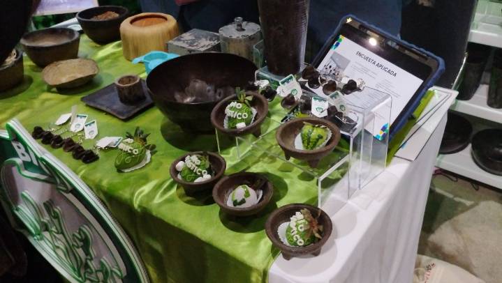 Desde platos hechos con algas y parches para fracturas, los proyectos de alumnos tamaulipecos ...