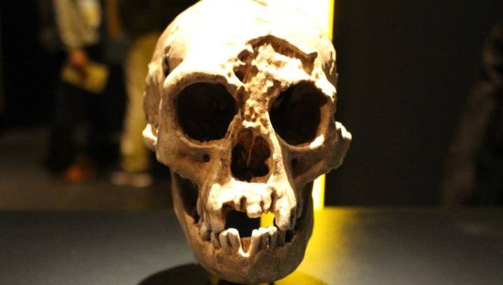 The Tiny Hobbit Humans Of Flores Died Out 61,000 Years Ago, And Now We Know Why