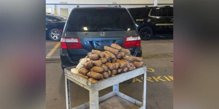 Meth found hidden on car hauler following I-10 traffic stop, Harrison Co. Sheriff says