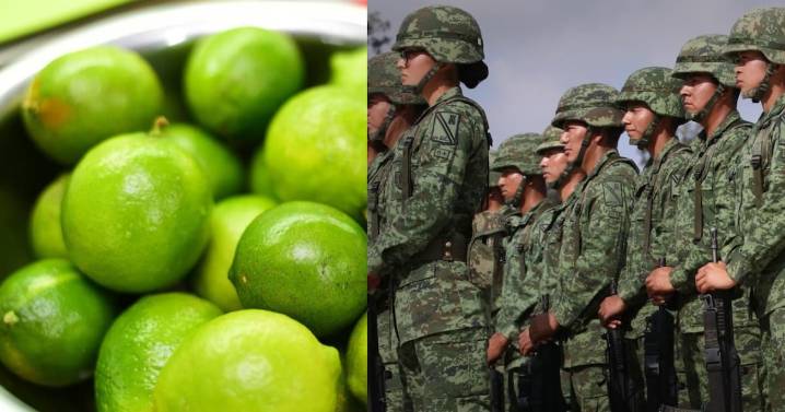 Blindan al limón con el Plan Michocán para combatir la extorsión del crimen organizado a productores que desata aumento de homicidios y frena la actividad económica de la región