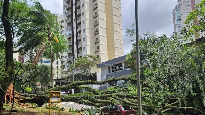 Videos | 'Histórico' ciclón en Sao Paulo deja a más de un millón de personas sin luz y decenas de vuelos cancelados