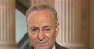 Schumer on Dem Criticisms of ACA: We Want to Make Things Cheaper, GOP Doesn't