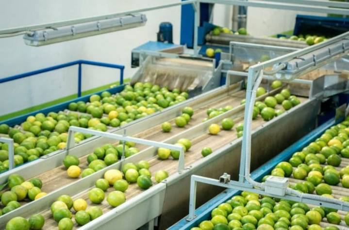 Obtiene Inversiones Cítricas segundo lugar nacional como empresa de agroinversones