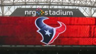 Texans minority owner Javier Loya suspended, fined $500K