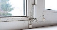 One method that's better than opening windows for stopping mould