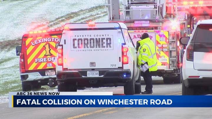 Fatal collision on Winchester Road