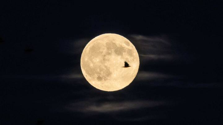 Superluna Fría: ¿Cómo Tomar Las Mejores Fotos con tu Celular de la Última Luna Llena del Año?