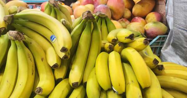 Diciembre llegó con precios estables: cuánto salen hoy las frutas y verduras en Salta