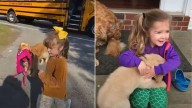 Maryland Pup’s Afternoon Ritual With A Little Girl Melts Hearts Across The Neighborhood