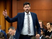 Liberals seek to declare 'femicide' as first