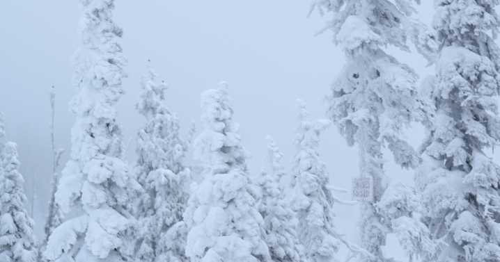 OutsideDB helping winter recreationists stay informed