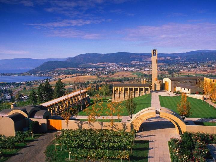 B.C. winery named among world's 50 best