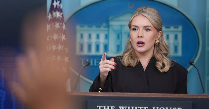 Mother of Karoline Leavitt’s Nephew Hits Out at Press Secretary After ICE Detention