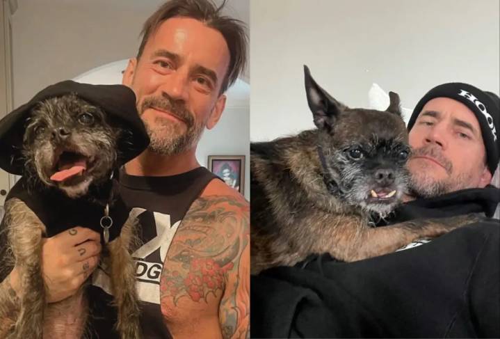 Fallece Larry, la entrañable mascota de CM Punk: El perro que se volvió un ícono para los fans del luchador