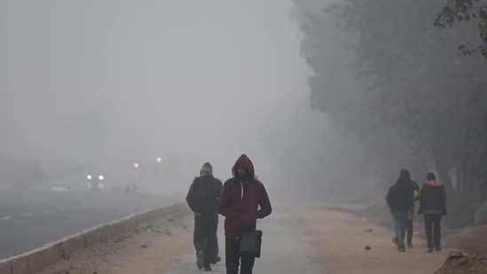 Maharashtra Weather Update: Cold Wave Persists Across State; Severe Chill Likely to Continue on December 13
