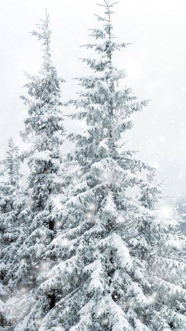 5 Magical Winter Getaways in India for Snow Lovers