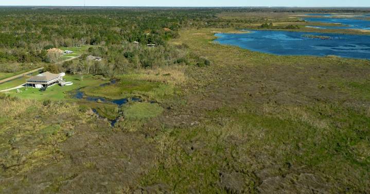 Could these Louisiana wetlands lose protection under new federal rule? Here are the risks.