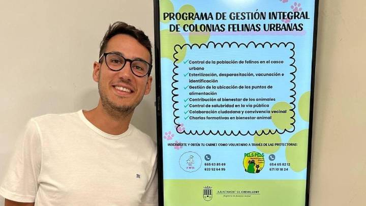 Crevillent esteriliza más de 200 gatos con su plan municipal y quedan otros 250