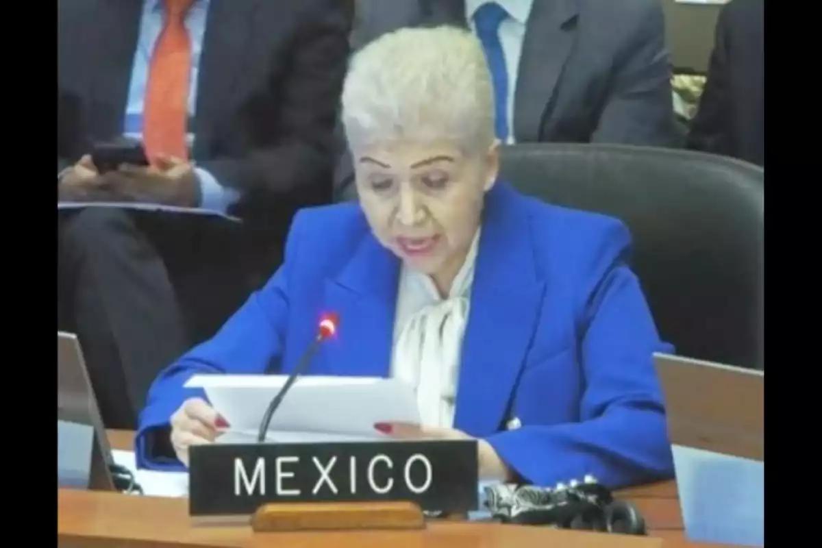 México defiende ante la OEA su derecho de asilo y acusa intento de revisar tratado sin facultades