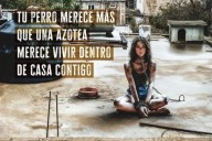 Para Alejandra Müller, los perros son sus amores