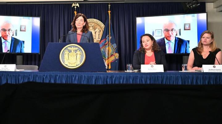 New Port Authority chief appointed by Hochul was state's prior director of operations
