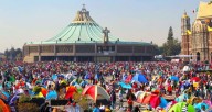 Acuden 13 millones de peregrinos a la Basílica de Guadalupe; se brindaron más de 3 ...