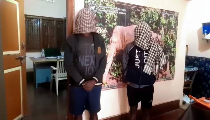 AI cameras help arrest 2 poachers in Odisha forest; firearms seized