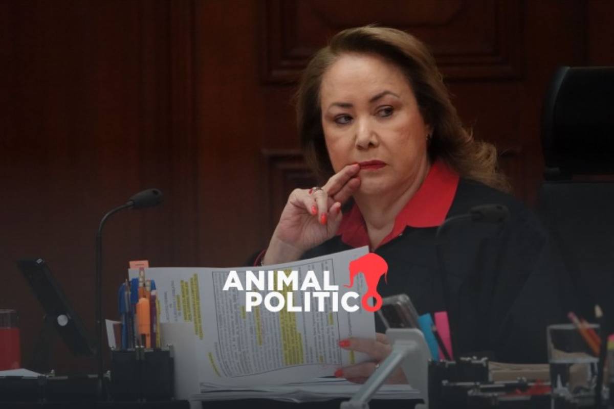 Corte rechaza proyecto de Esquivel por “grave riesgo” para la defensa de derechos colectivos