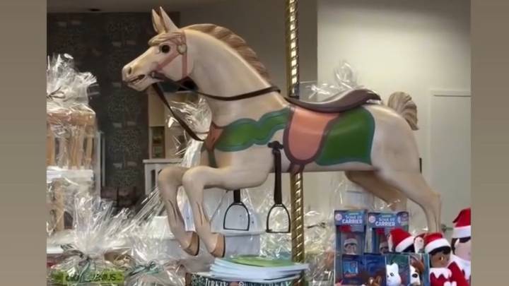 Toy store Einstein's Attic opens new location in Manhasset