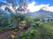 NÁPOLES MEJORA SU ACCESO VIAL  