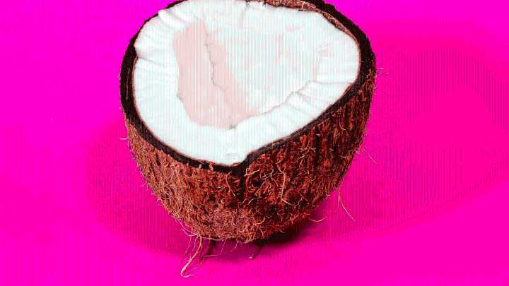 Govt hikes copra MSP by up to Rs 445 for 2026 season