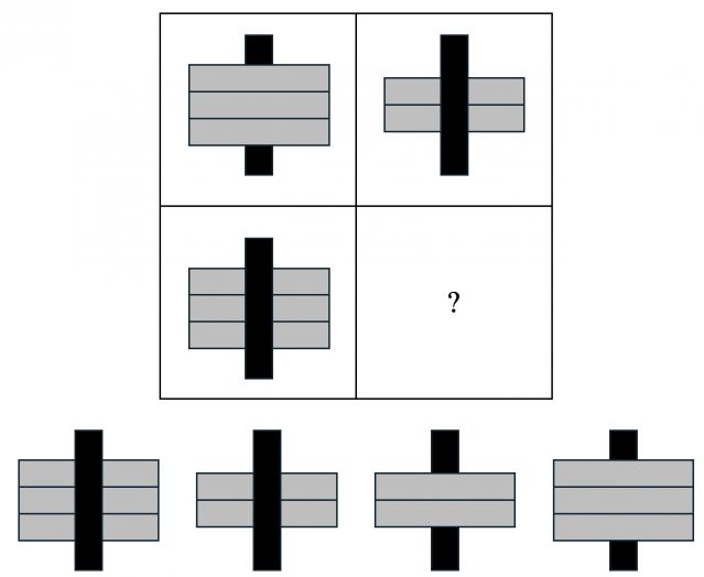 Decoding Aphasia: Separating Language From Thought