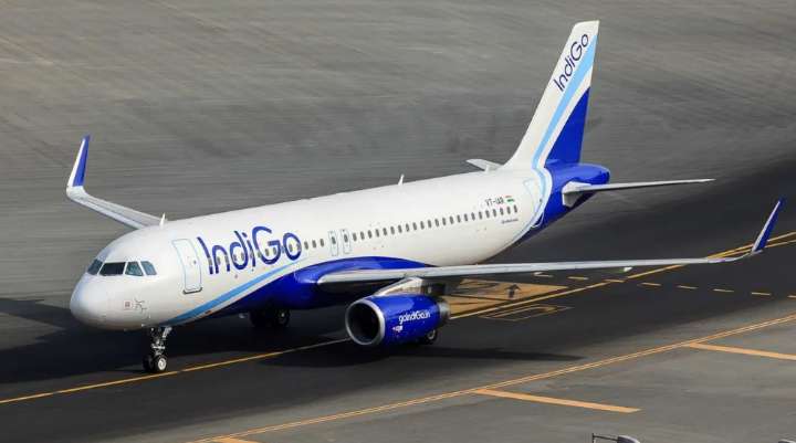IndiGo board ropes in external aviation expert for flight disruption probe